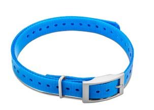 3/4-inch Collar Straps - Square Buckle Blue - Pacific Flyway Supplies