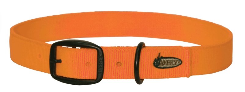 Avery Sporting Dog Standard Collar - Blaze Orange - Medium - Pacific Flyway Supplies