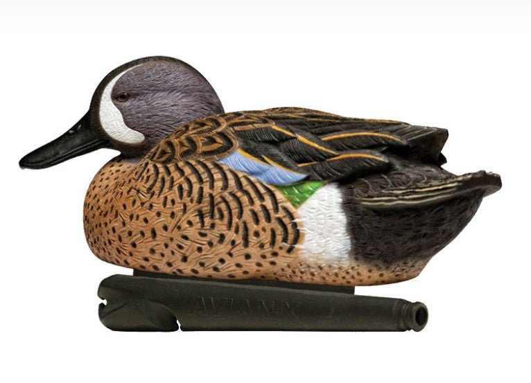 Avian X Topflight Blue-Winged Teal - Pacific Flyway Supplies