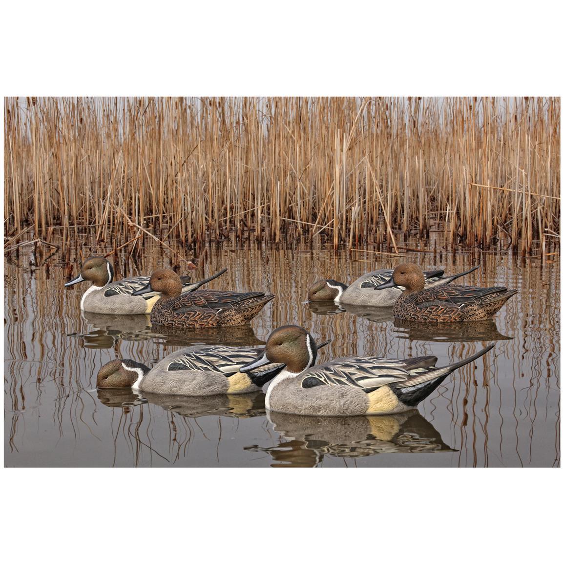 Avian X Topflight Pintails Fusion Series - Pacific Flyway Supplies