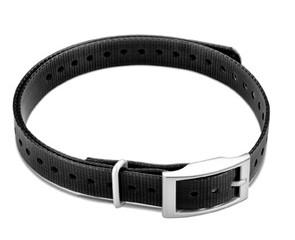 Garmin 3/4-inch Collar Straps- Black Square Buckle - Pacific Flyway Supplies