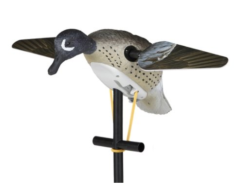 Lucky Duck Decoy - Lucky Blue Wing Teal HD - Pacific Flyway Supplies