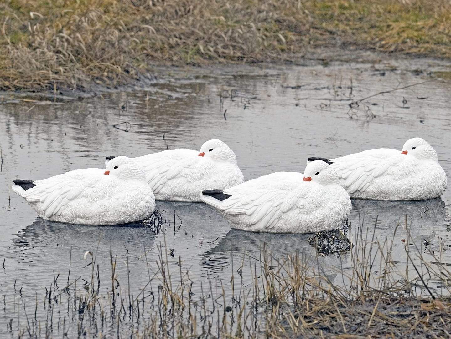 SX Decoys Adult Snow Sleeper 4 Pack - Pacific Flyway Supplies